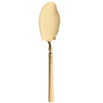 spoons-rice-vivaldi-shiny